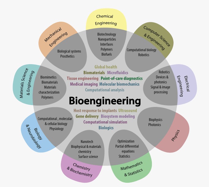 Bioengineering VIT Bhopal